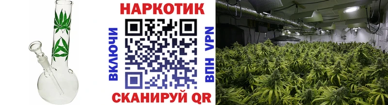 Купить закладку Цивильск КОКАИН  Меф  Псилоцибиновые грибы  Марихуана 