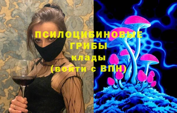 бутират Пересвет