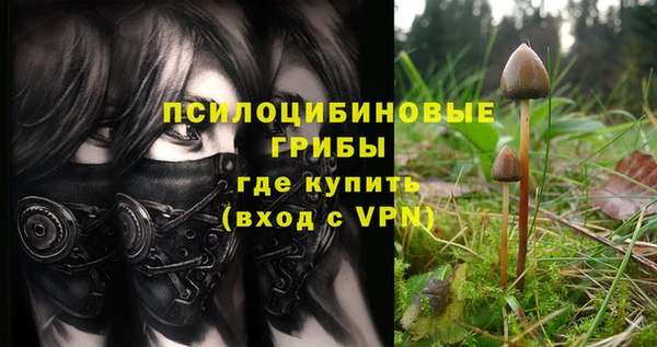 прущие крисы Алексеевка